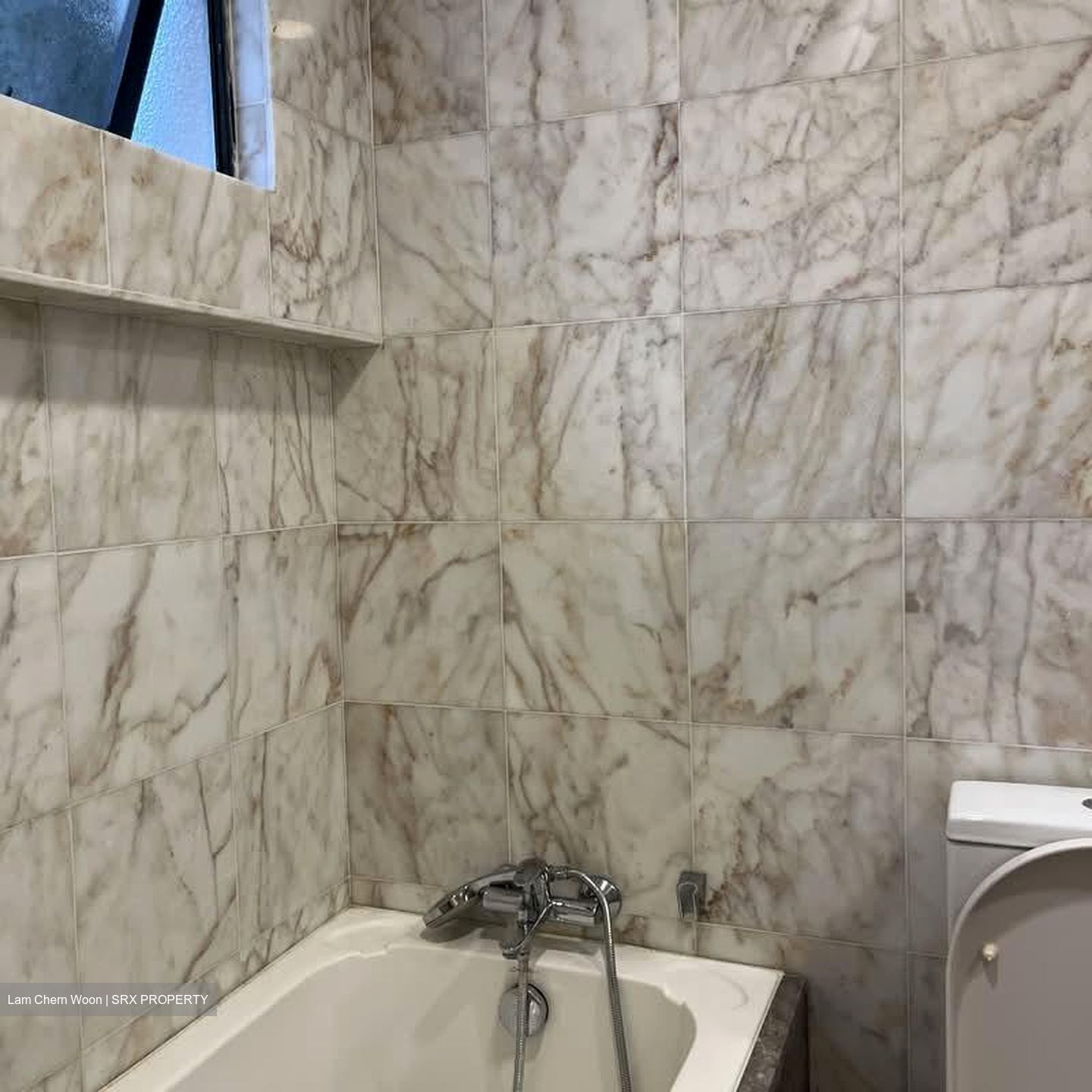 Tanglin Park (D10), Condominium #557817281